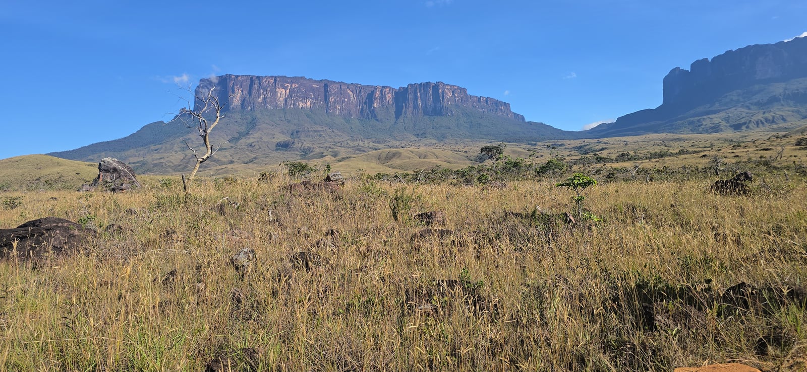 A savana aberta com a parede do Roraima ocupando todo o horizonte